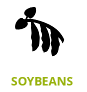 icon-soybeans1