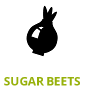 icon-sugarbeets1